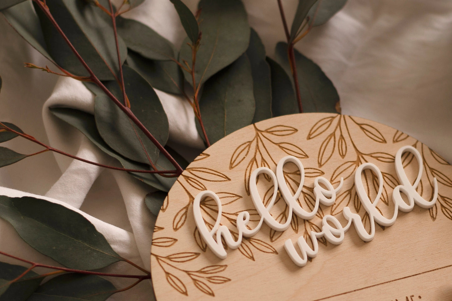 Hello World geboorteaankondiging